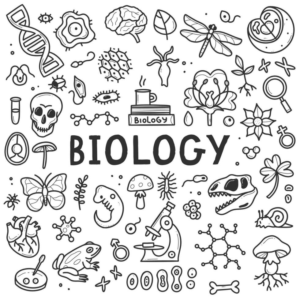 course_image
