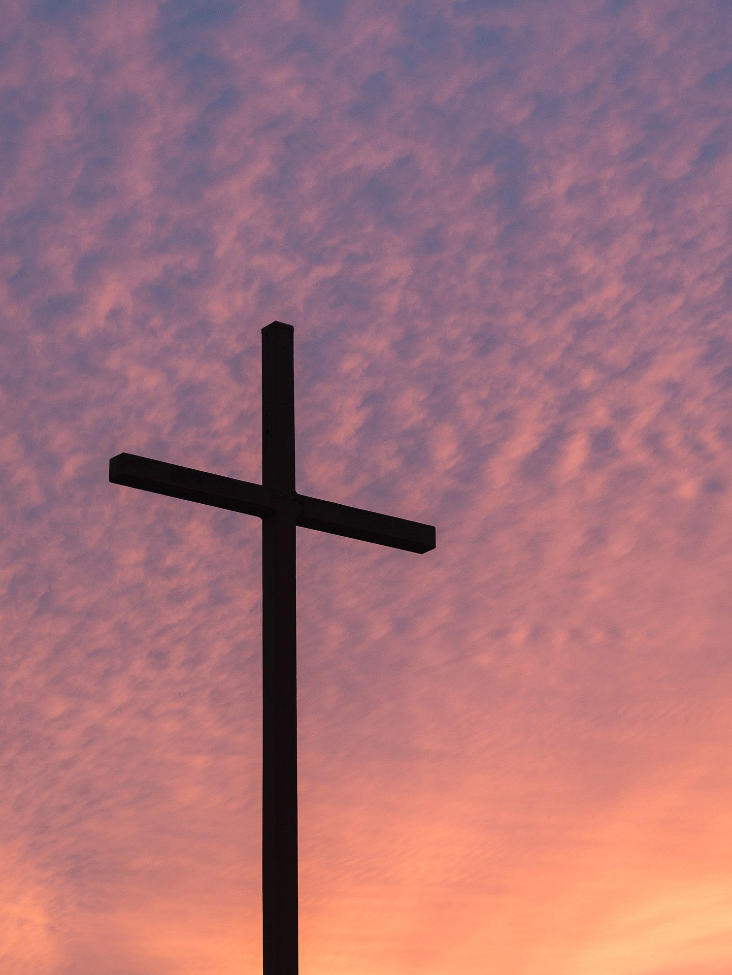 course_image