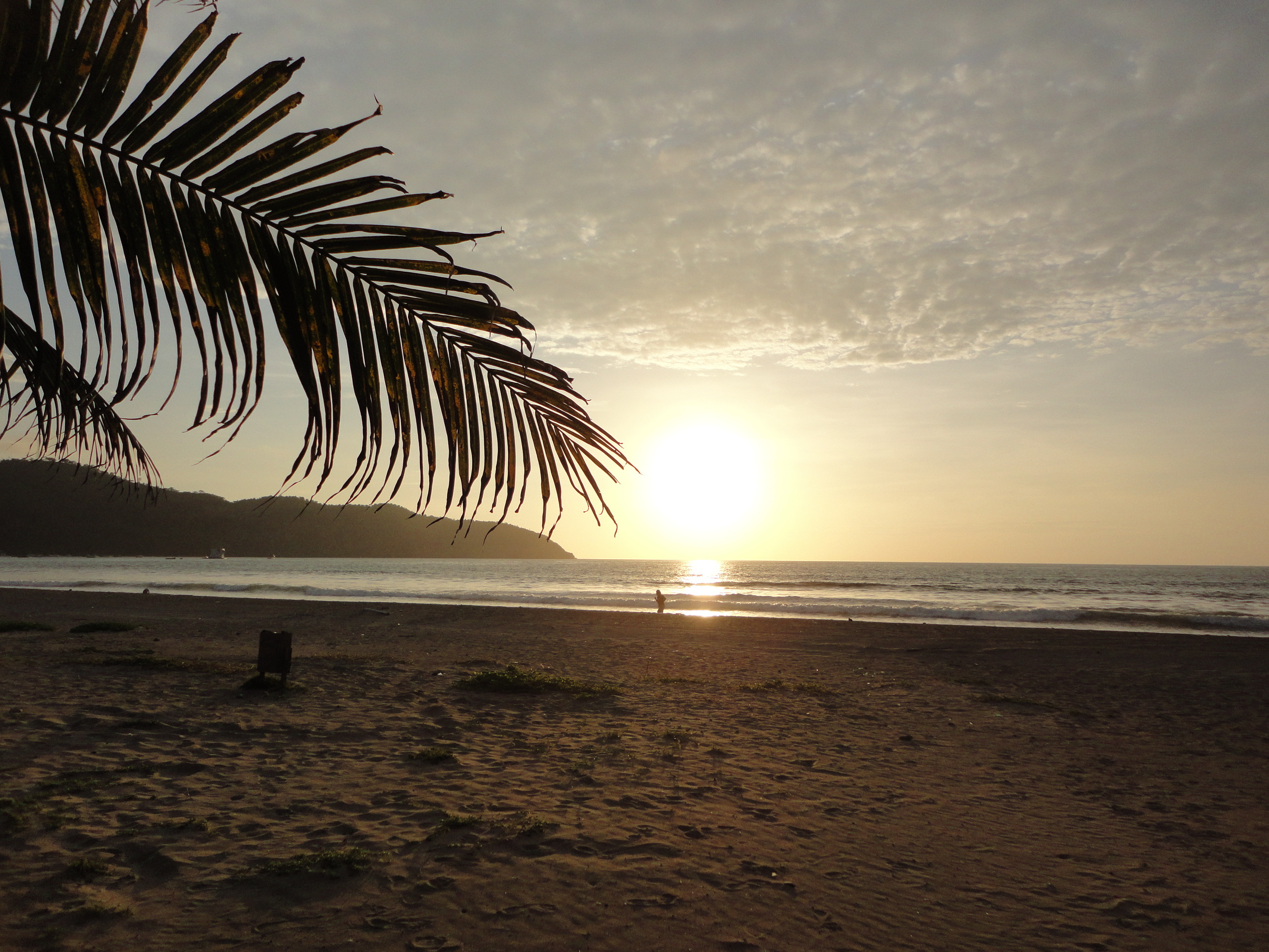 course_image